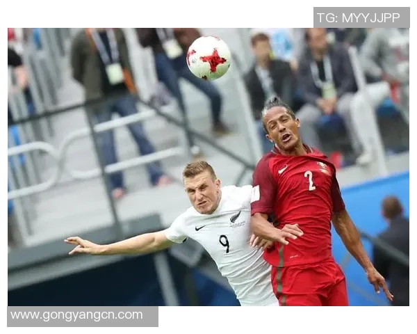 新西兰与葡萄牙足球对决全面分析战术特点及球员表现